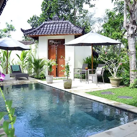 Villa Hijau
